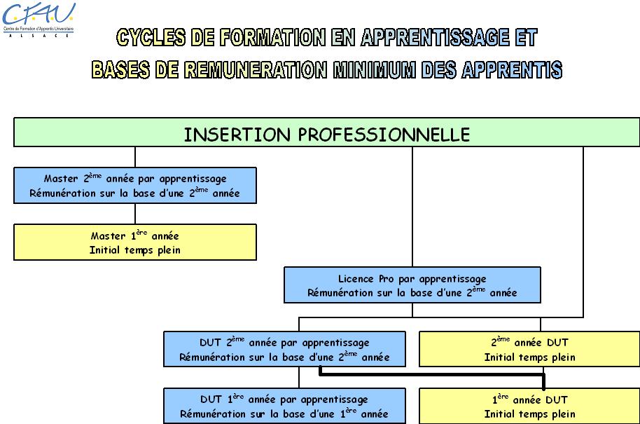 Cycle de formation en alternance et rémunération des apprentis